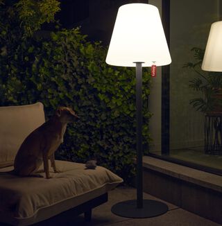 dog with Edison the Giant