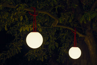 2 Bollekes at night