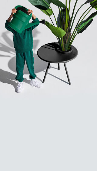 Black Bakkes with a plant