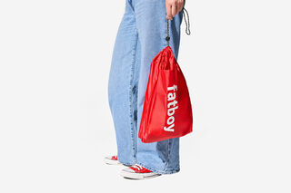 Pouch and pillow