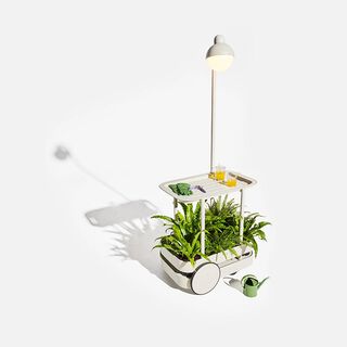 Jolly Trolley with plants